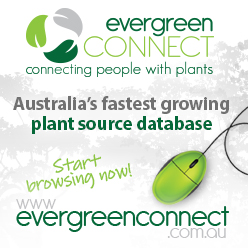 evergreen_connect_ad