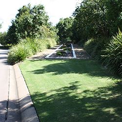 Studies prove Nara™ Native Turf is ideal for Australian landscapes