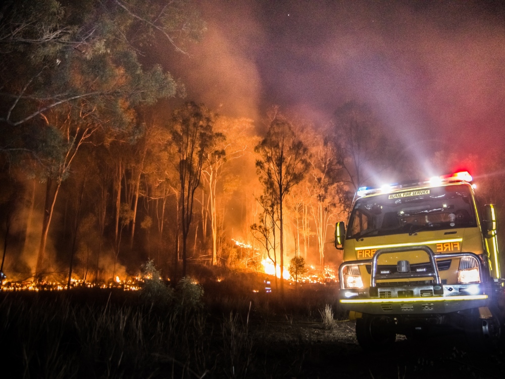 Fire-Retardant Plant Cultivars for Brisbane's Climate