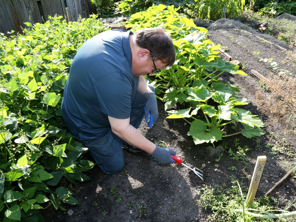 Spending time in the garden is good for the soul