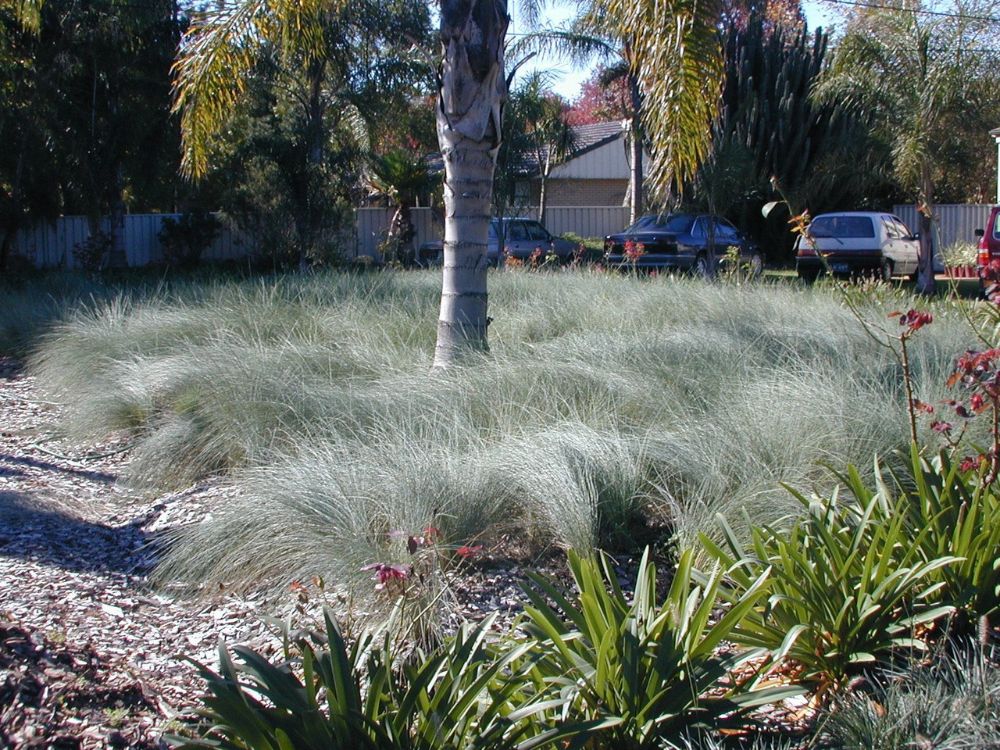 Harmonious Acoustics - Sound in sensory gardens