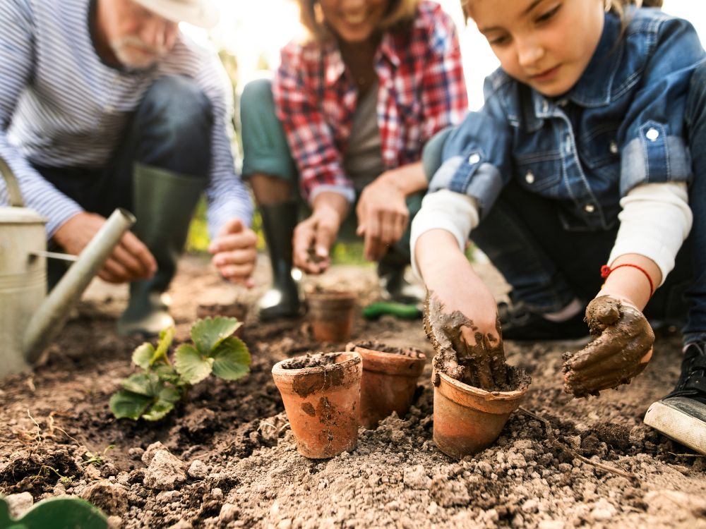 Sowing Seeds of Healing - Mental health and therapeutic horticulture