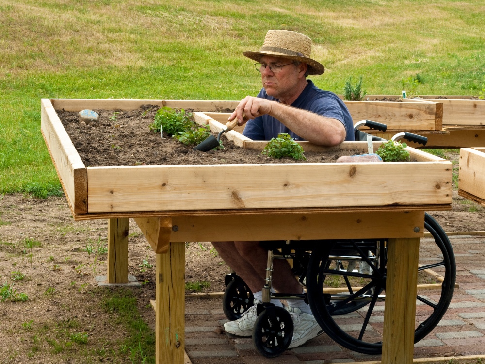 Therapeutic Horticulture and Intellectual Disabilities