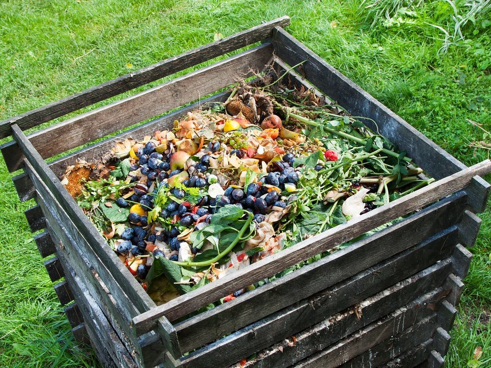 Beginner compost pile for sustainable gardening