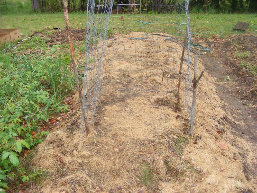 Hugelkultur bed mound for sustainable gardening