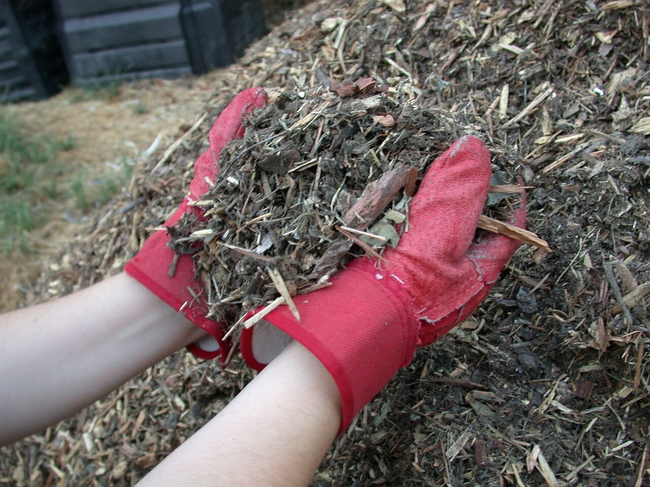 This mulch contains a range of chip sizes ranging from fine to chunky