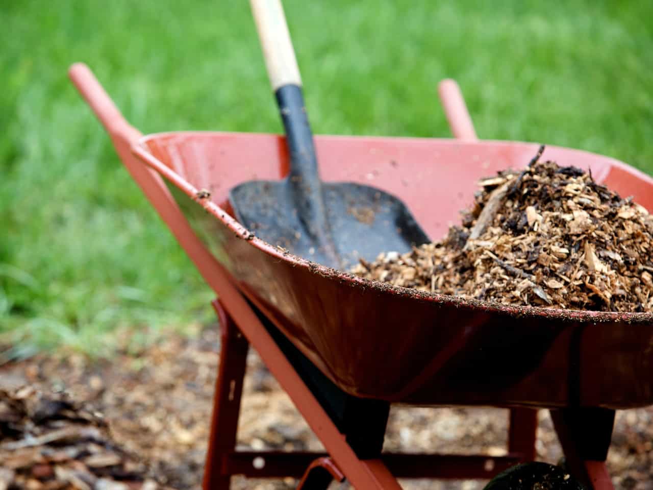 To Mulch or Not to Mulch Pros & Cons