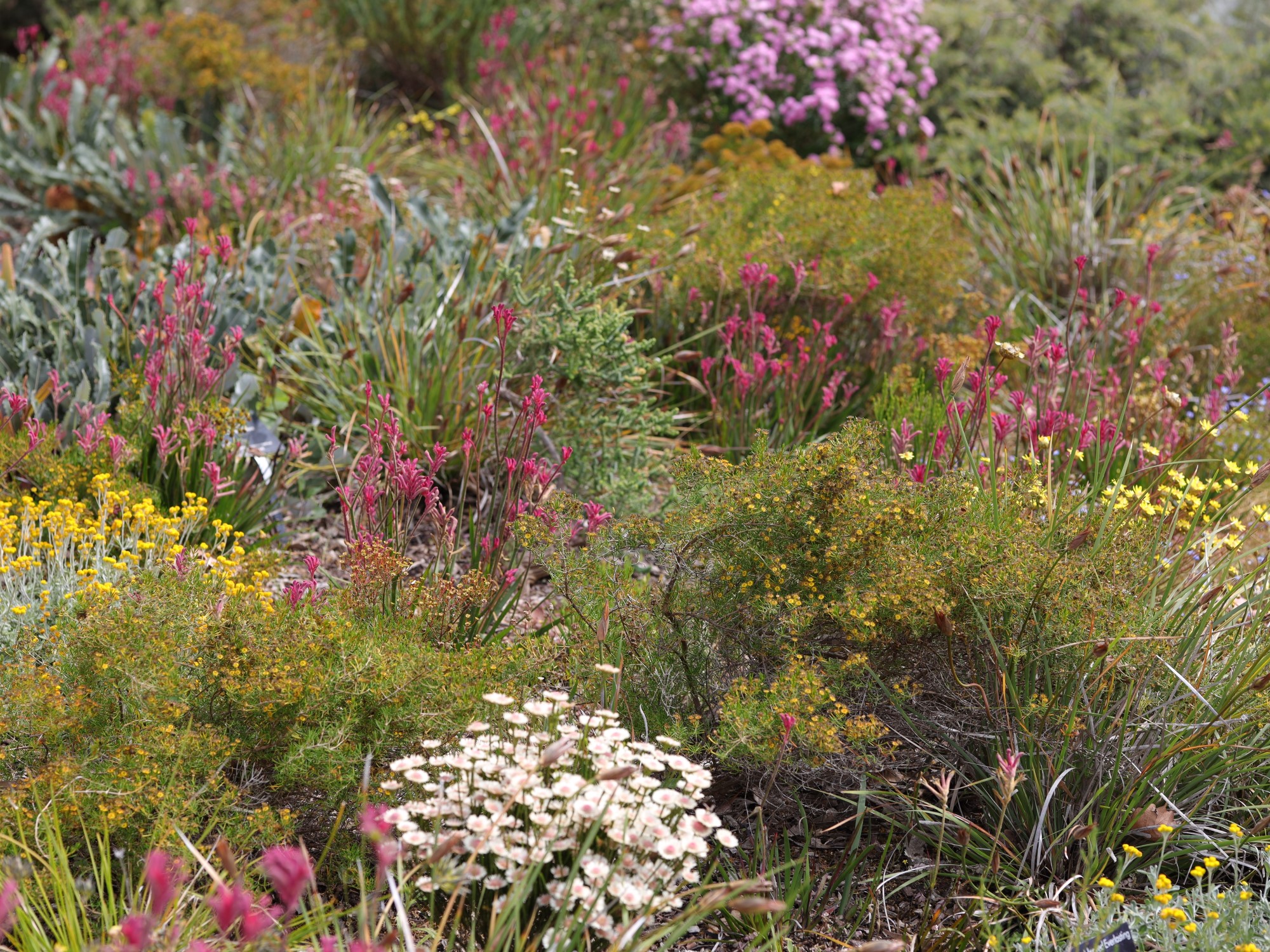 Achieving Biodiversity in Your Garden