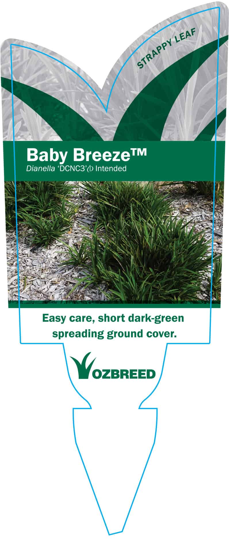 Baby Breeze Label