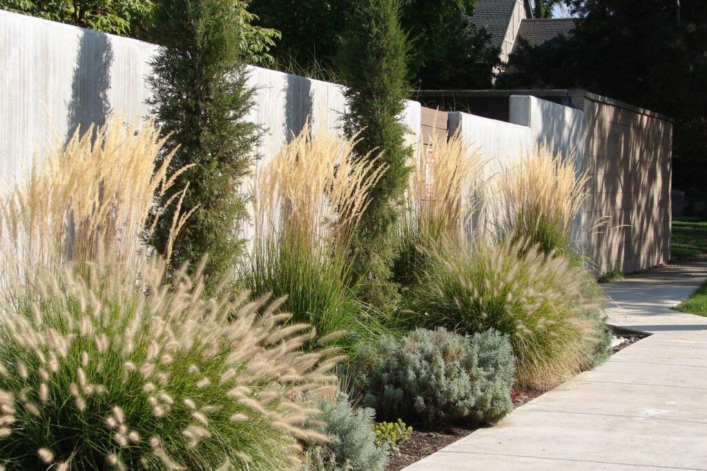 Drought tolerant garden, xeriscaping